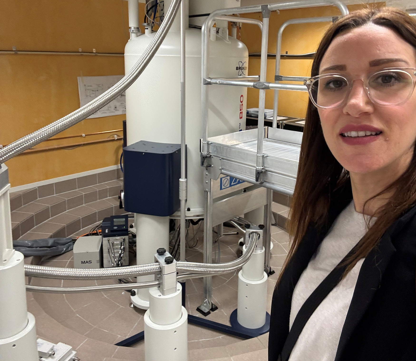 Ender Vulkan at the NMR facility